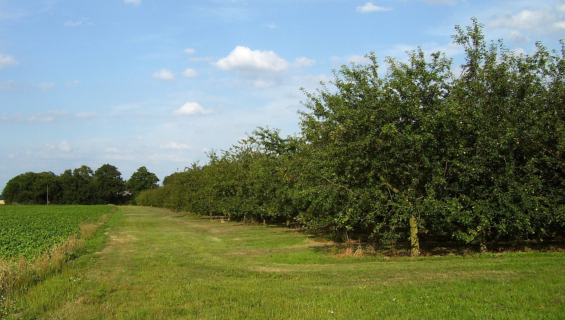 Vergers du pays d'Ouche, halte gourmande du week-end