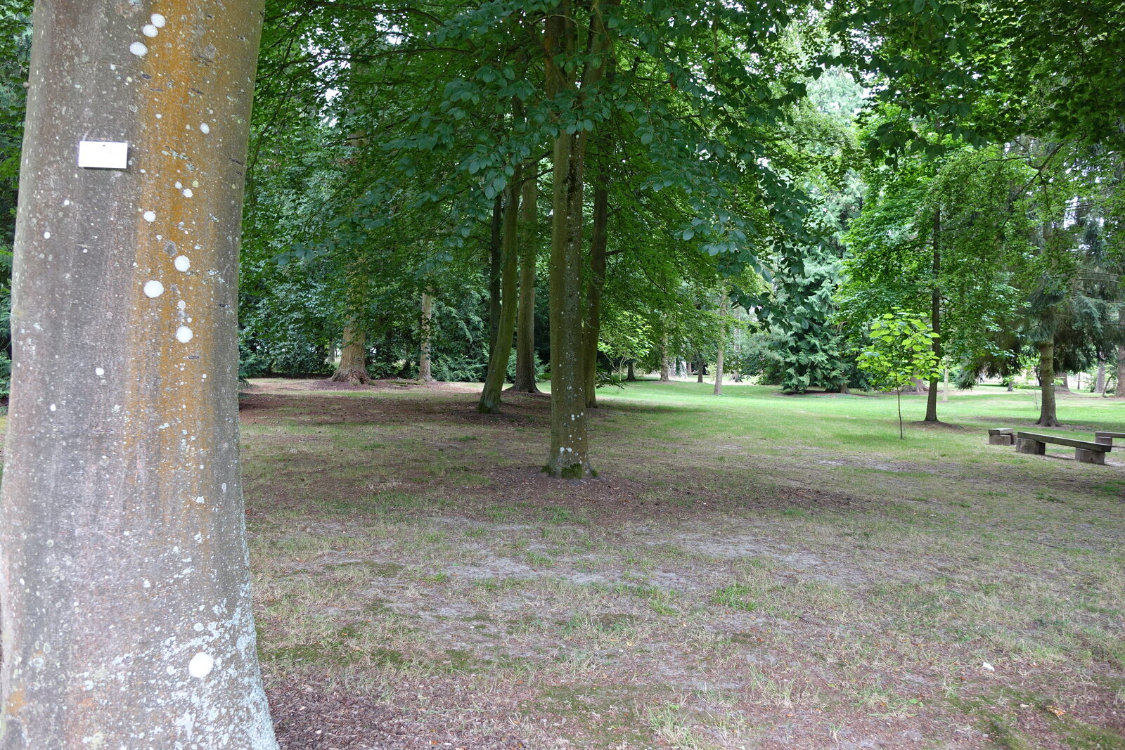 Allée de l'arboretum du domaine d'Harcourt, le plus ancien de France
